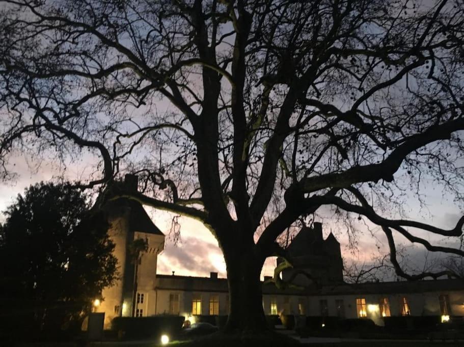 Un séjour d'exception au Logis du Château Saint-Pierre-de-l'Isle Exterior foto